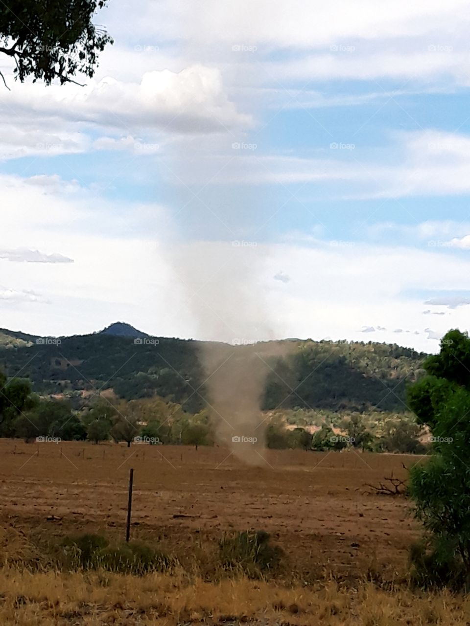 A whirl wind on a dry paddock