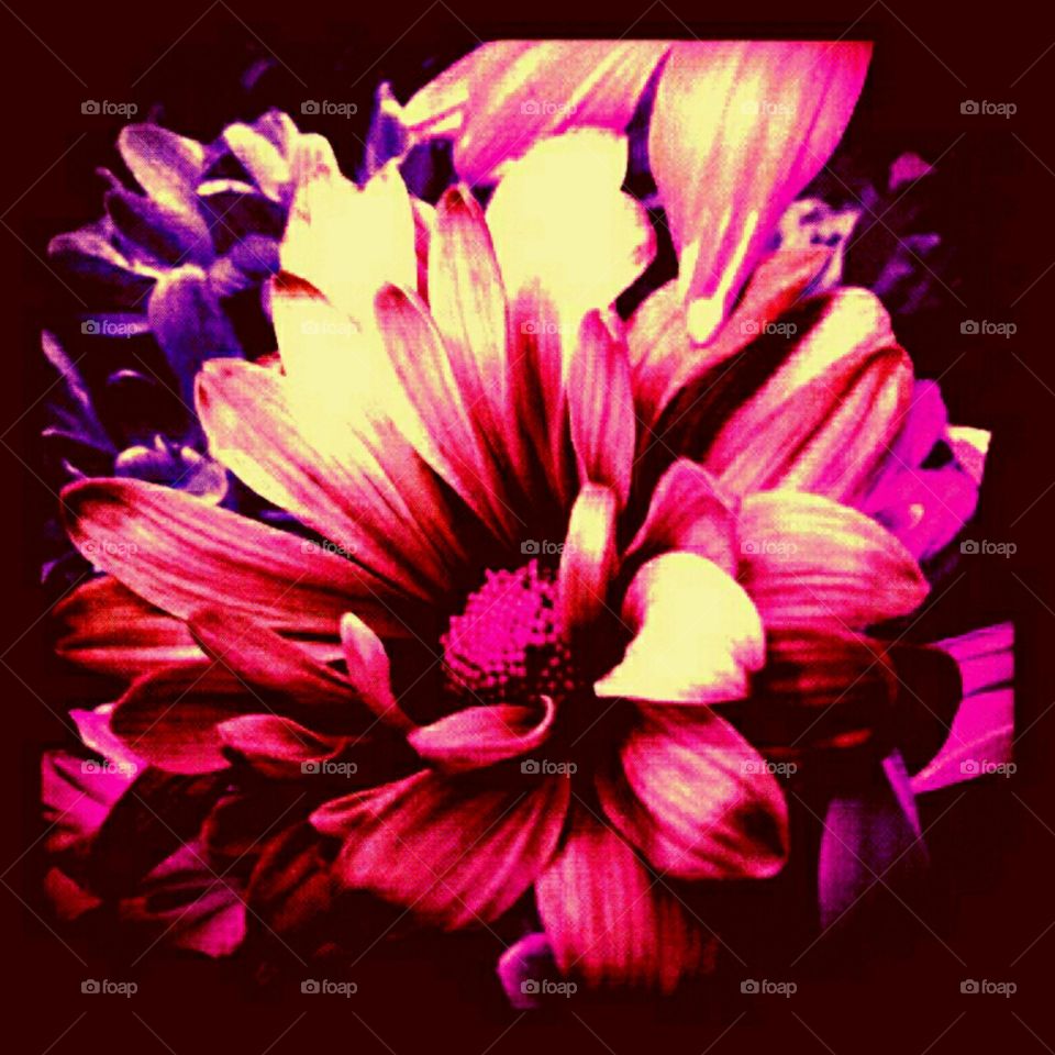 glorious. lighting effects