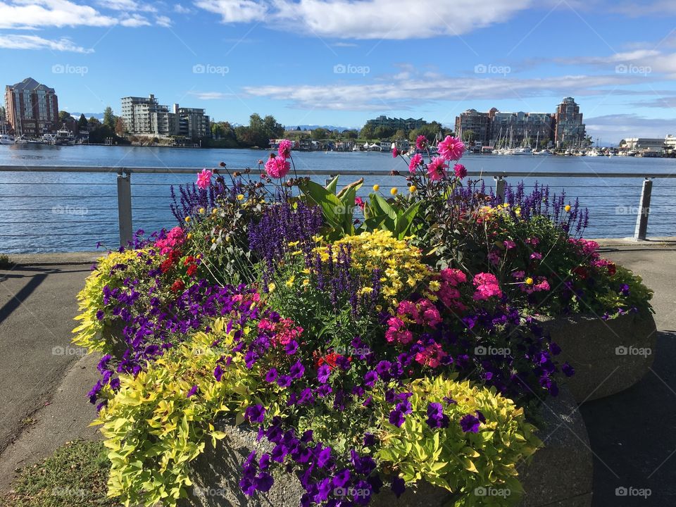 By the harbour