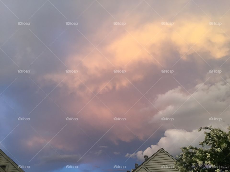 One of the many beautiful captures I had the pleasure of taking