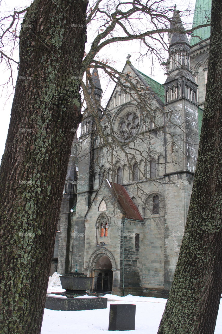 Kathedrale, Trondheim 