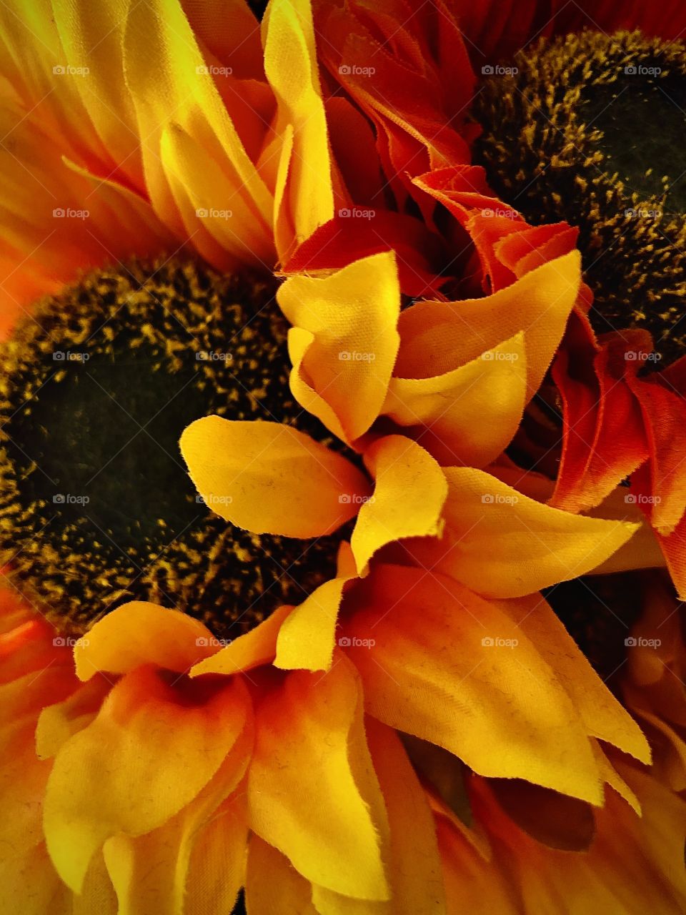 Beautiful sunflower decor in a wonderful modern home.