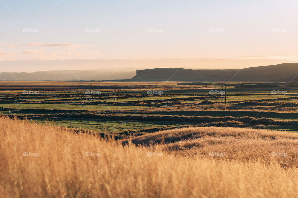 Golden hour in Iceland I. Beautiful Icelandic landscapes in south of this island.