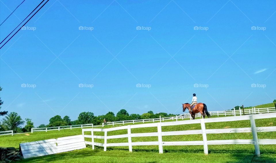 Fence, Horse, Cavalry, Sky, Mammal