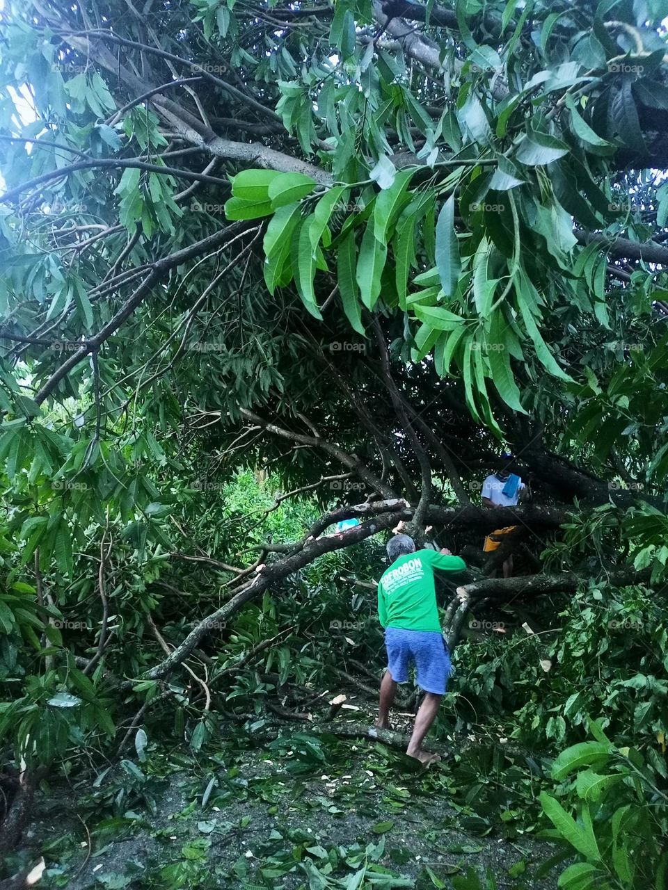 Disaster after the storm