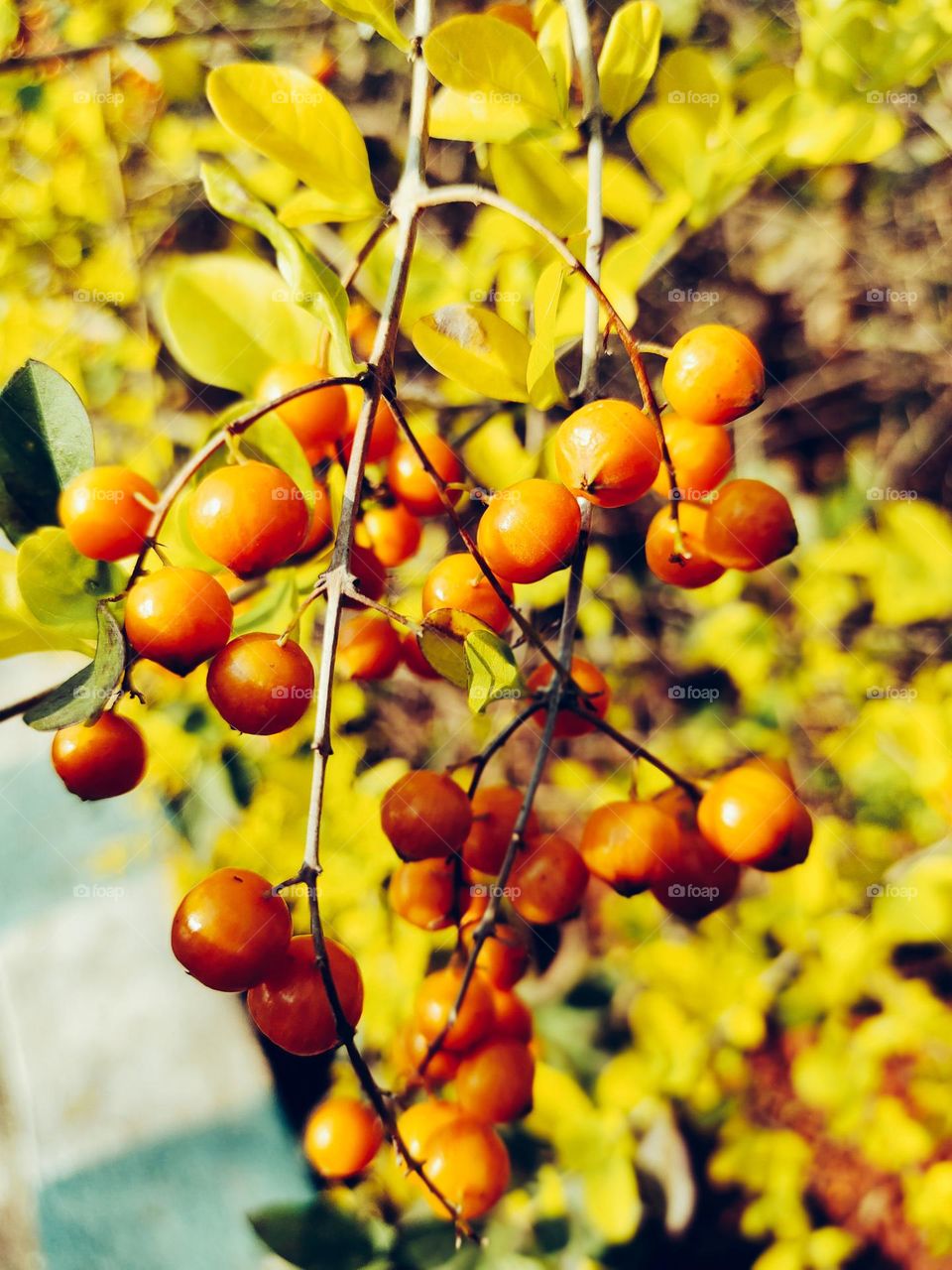 Just live with your eyes open