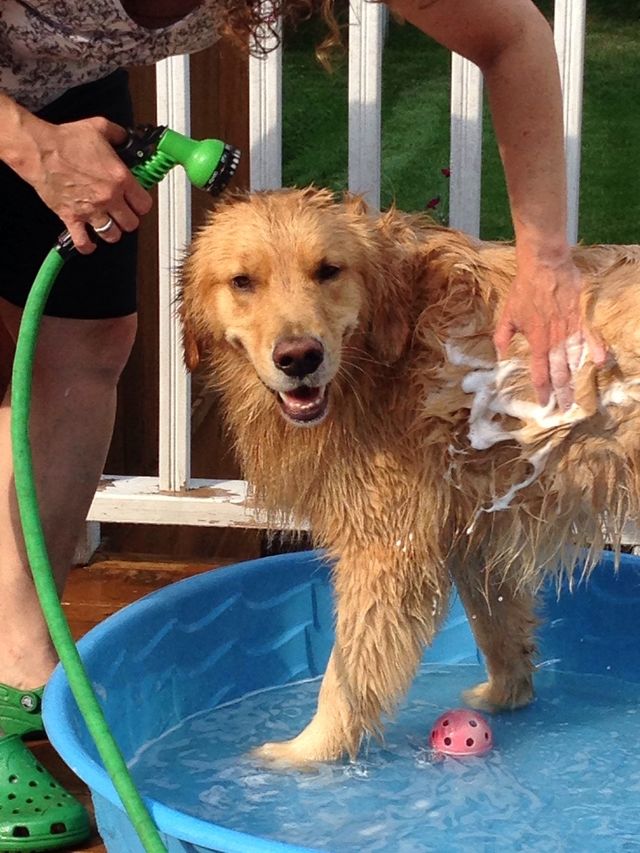 Bath time 