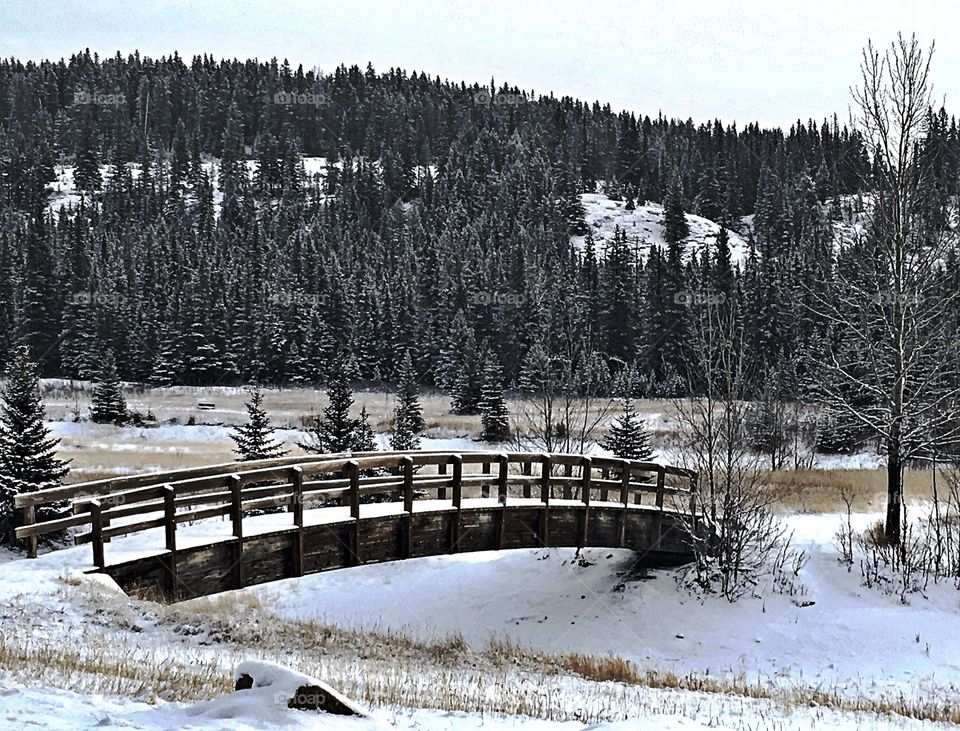 Snowy Bridge 