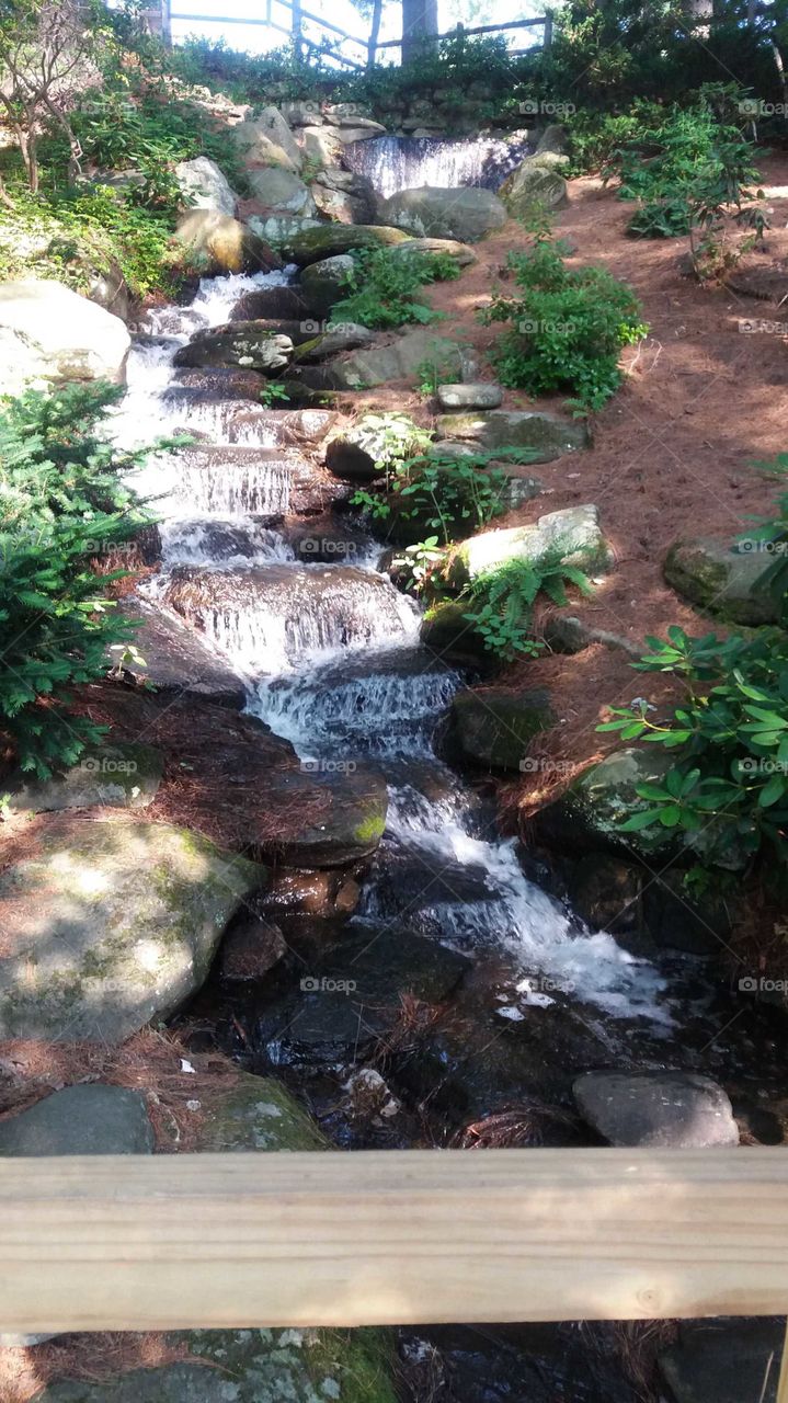 the stream tht took me back to my great-grandparents' back yard