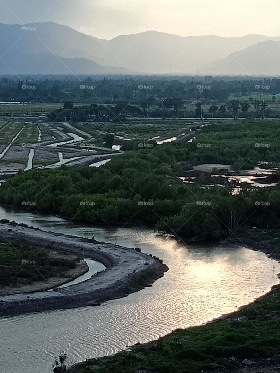 Nature before sunset