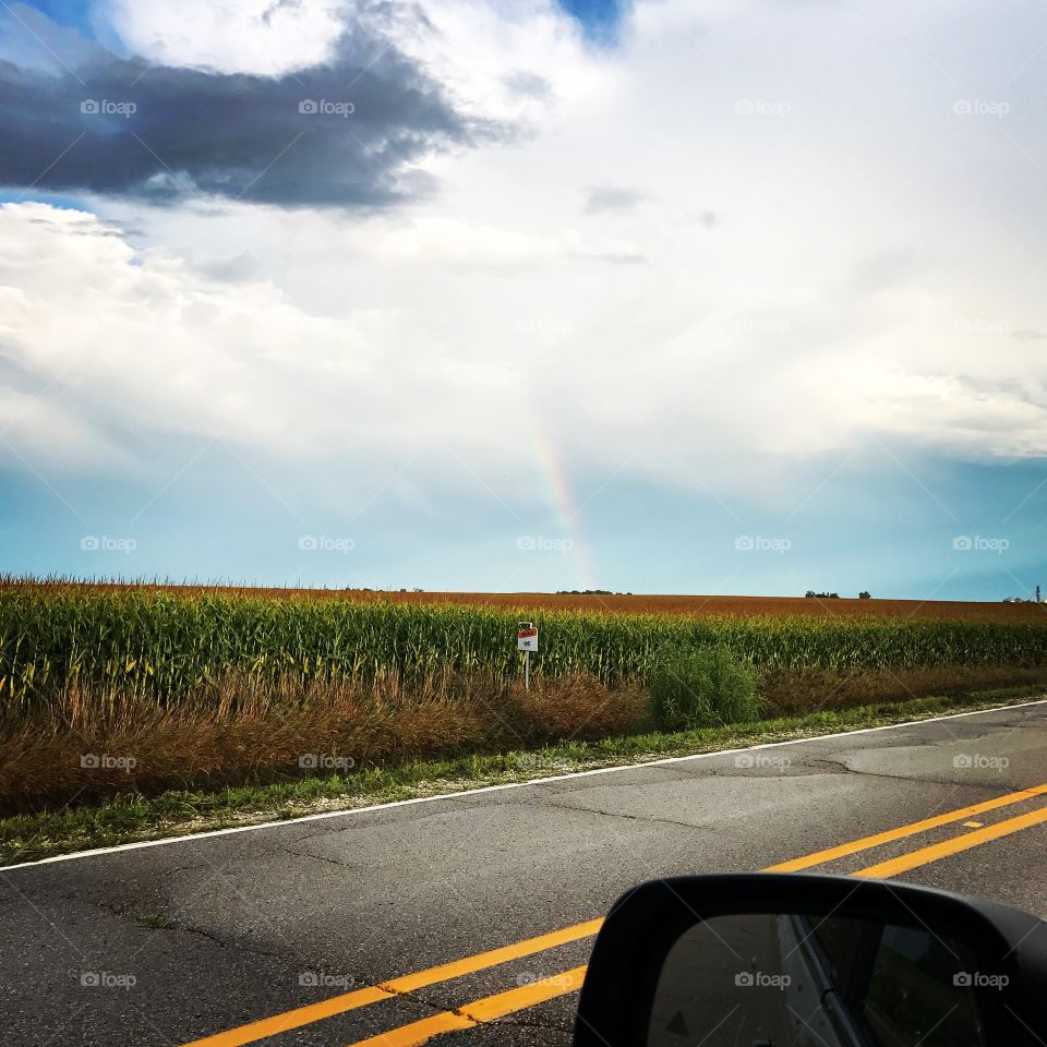 Rainbow in a cornfield from the clouds 