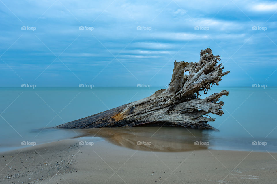 Driftwoods Final Resting Place