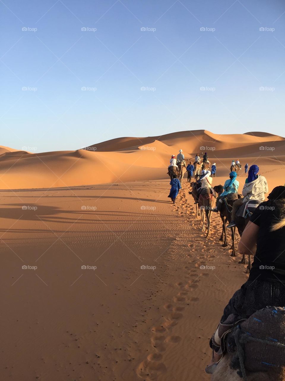 Sahara desert camel ride