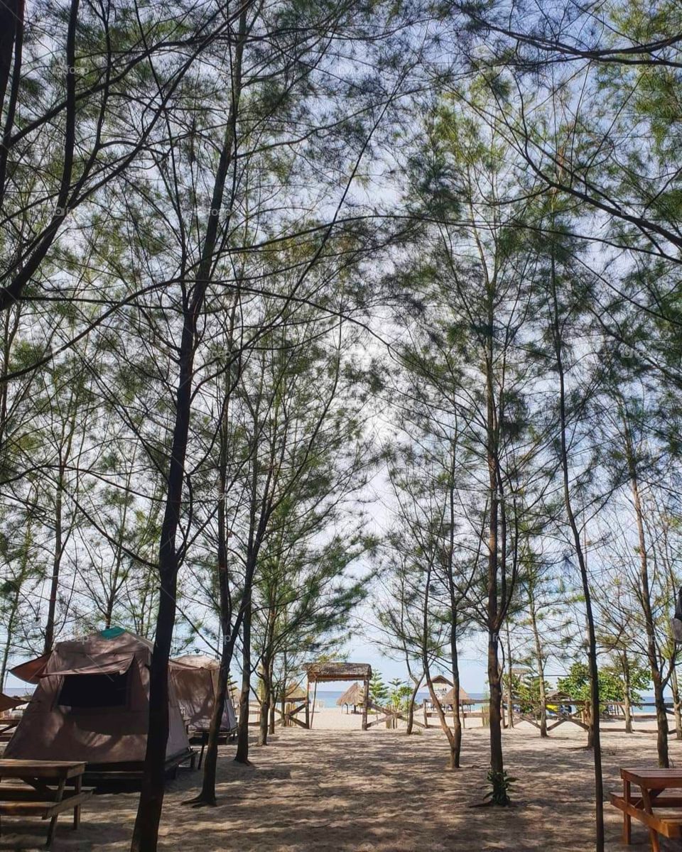 Its summer! Take this path and go to the shore , get tanned and let the sun kiss your skin!