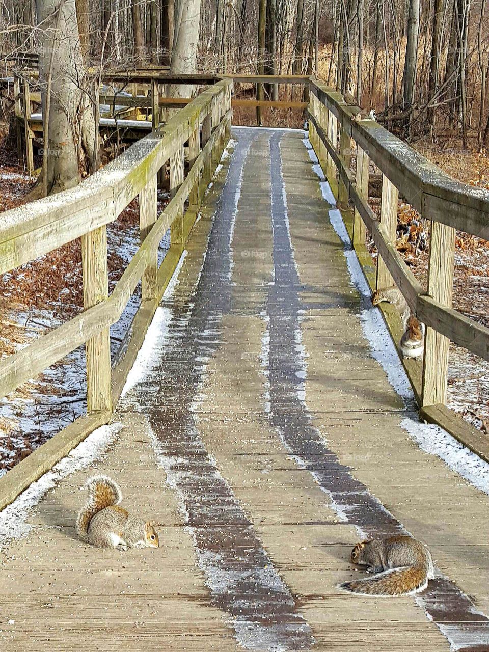boardwalk