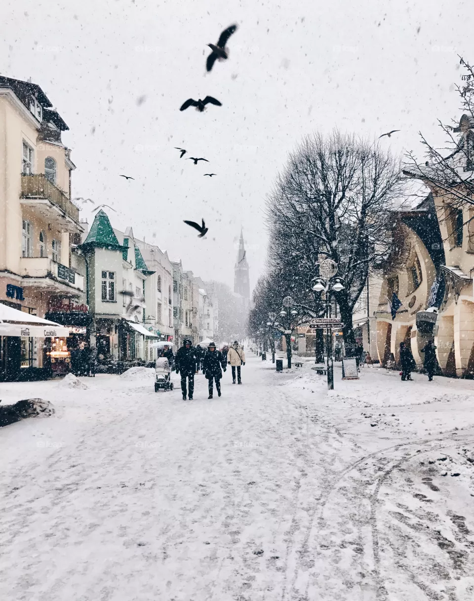 Winter