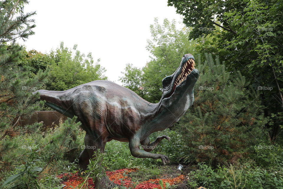 dino