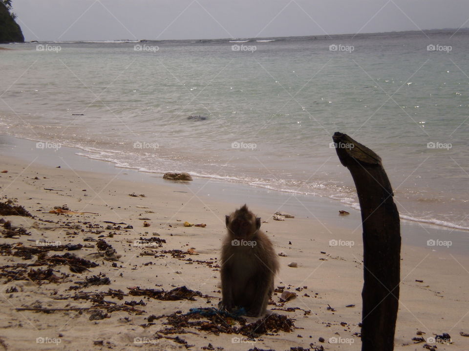 Water, Beach, No Person, Seashore, Sea