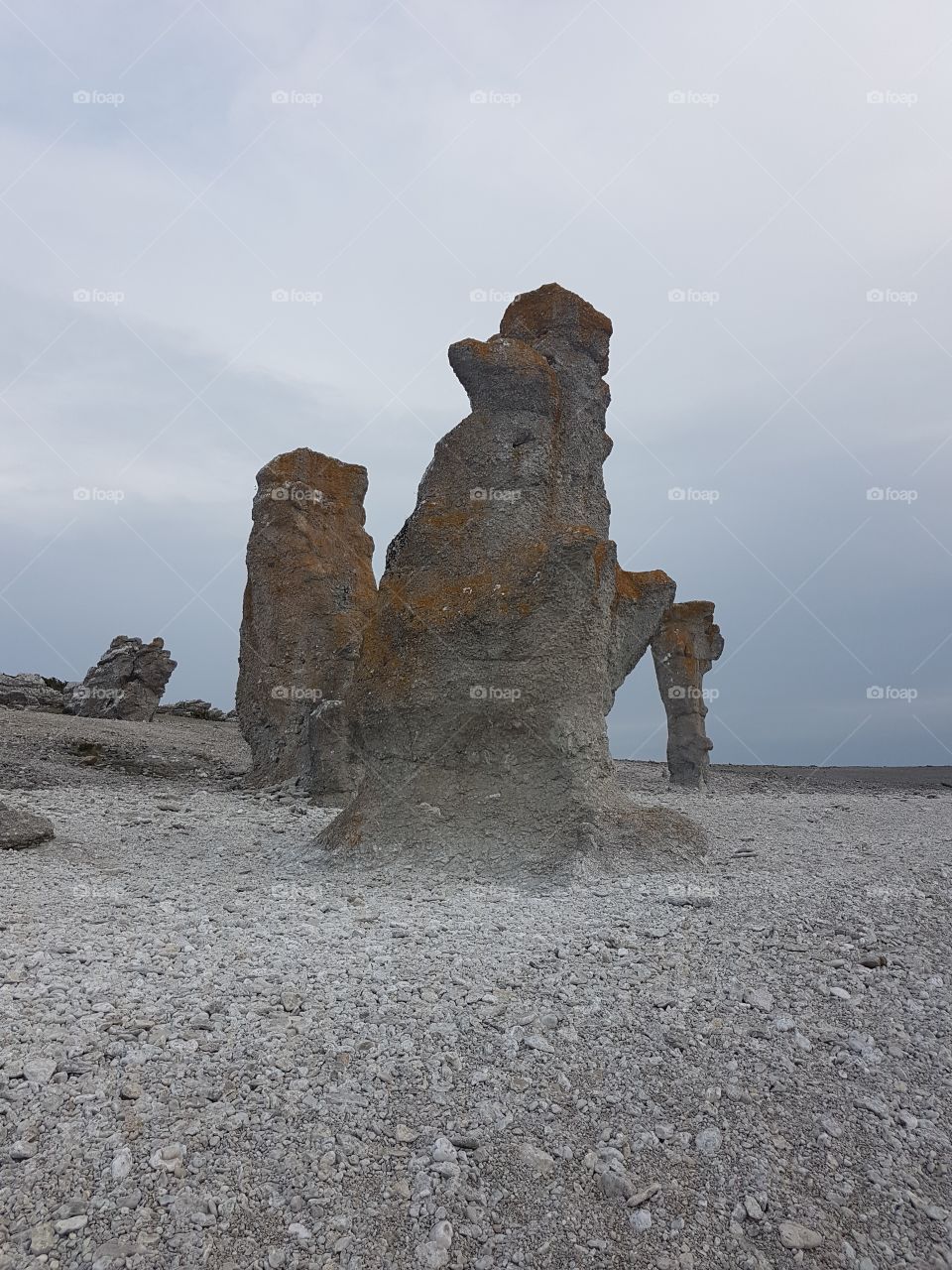 rauks