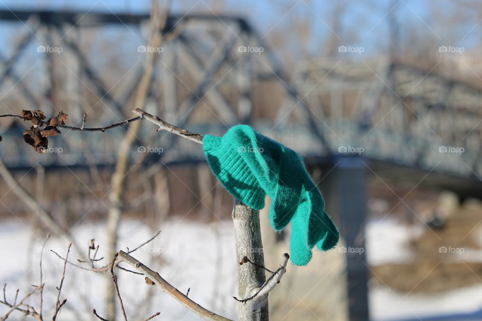 lost glove hanging on a tree branches with a train bridge in the background