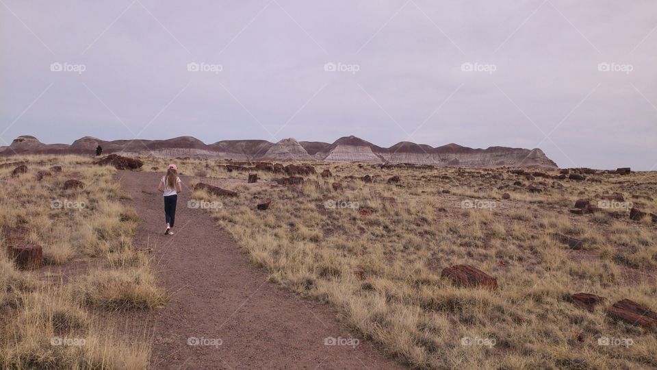 Walking in the desert
