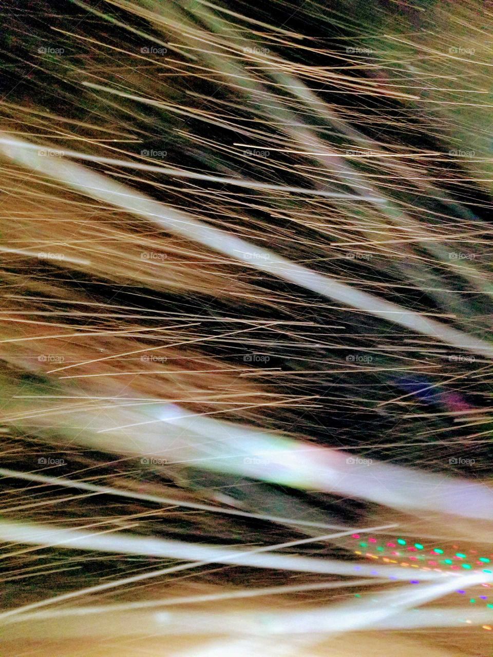 Blur, Abstract, Motion, Wheat, Cereal