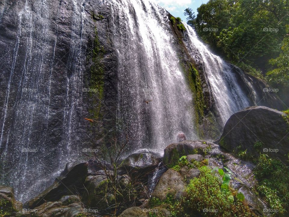 wild waterfall