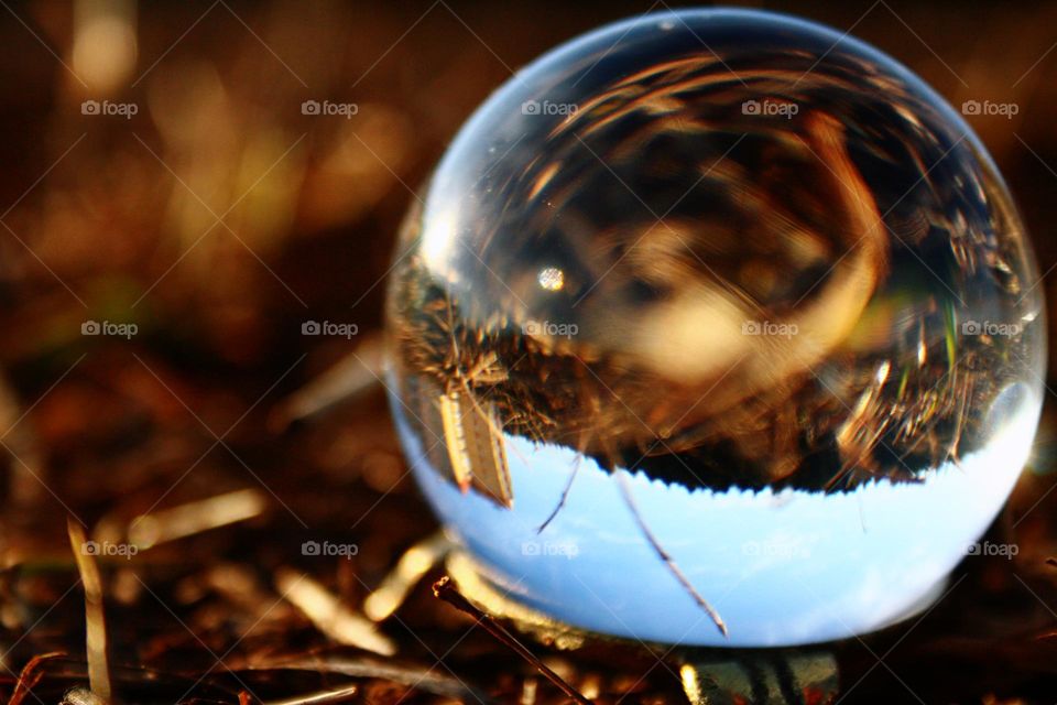 Glass ball