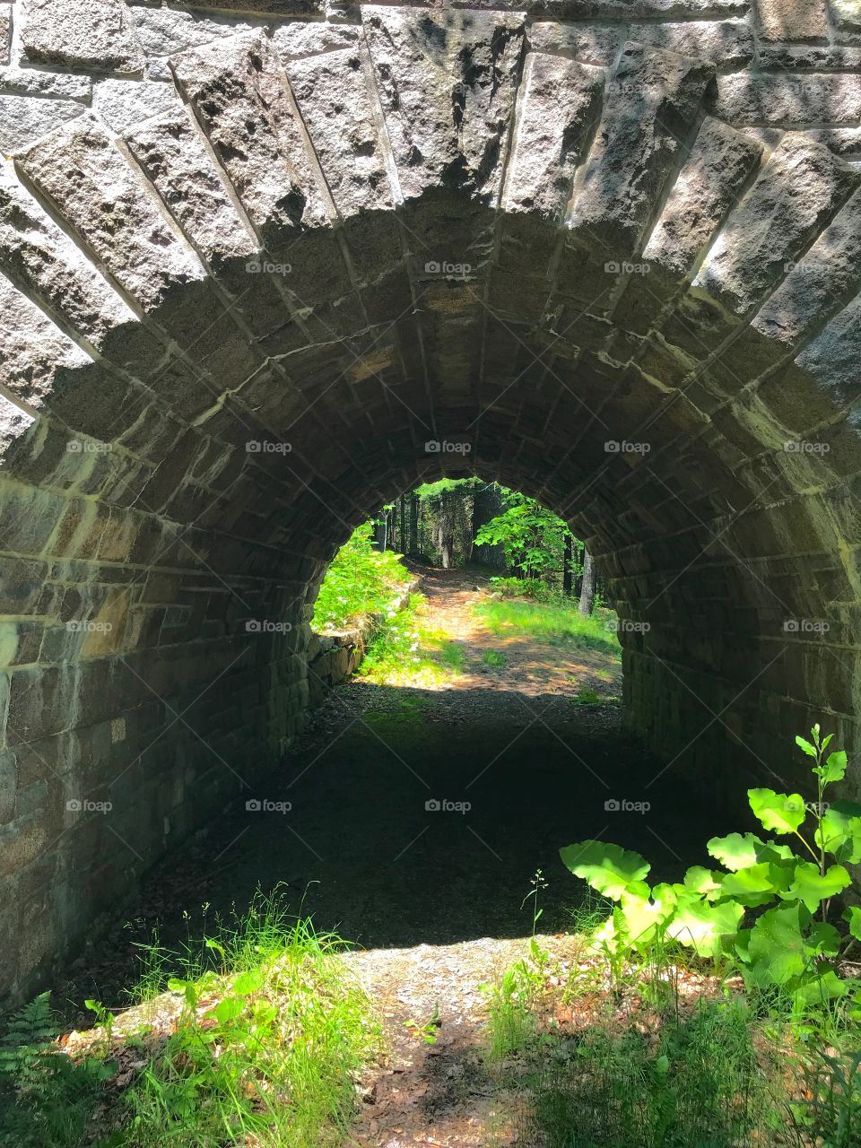 Walkway under an old stone bridge in Acadia National Park 