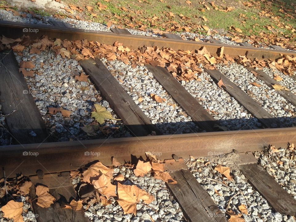 Fall on the rails