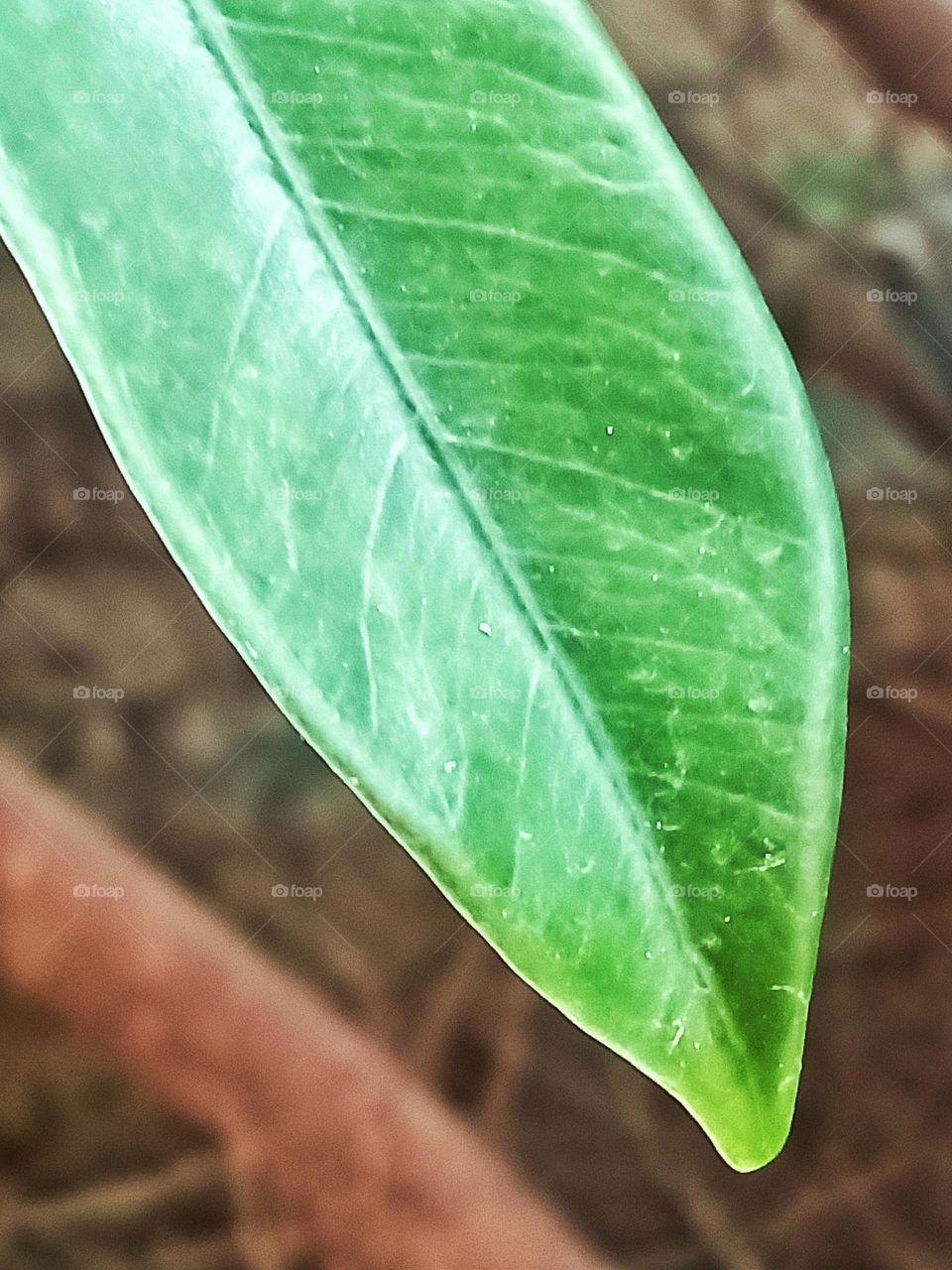 all about nature is good but all about the details of nature is beautiful ❤️