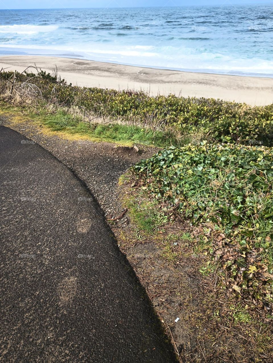 cute little pathway leading to beautiful sandy Oregon coastline