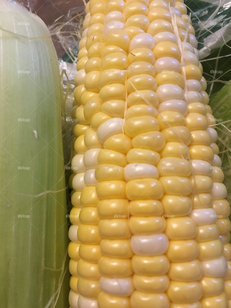 Fresh corn 