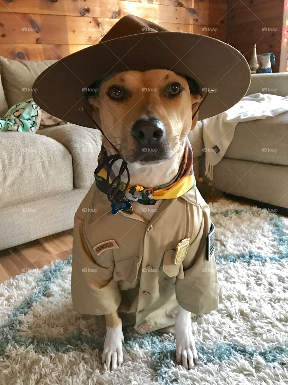 Dog park ranger. 