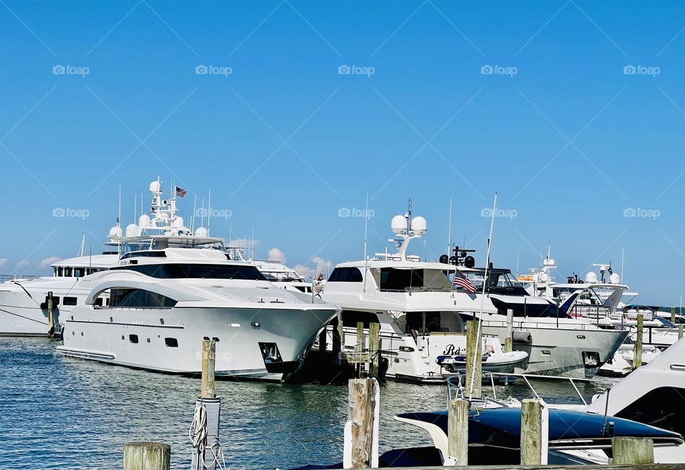 It’s summertime and the living is easy. Dockside the boats are lined up for sailing, boat trips and dinner cruises. Fun, fun, fun 