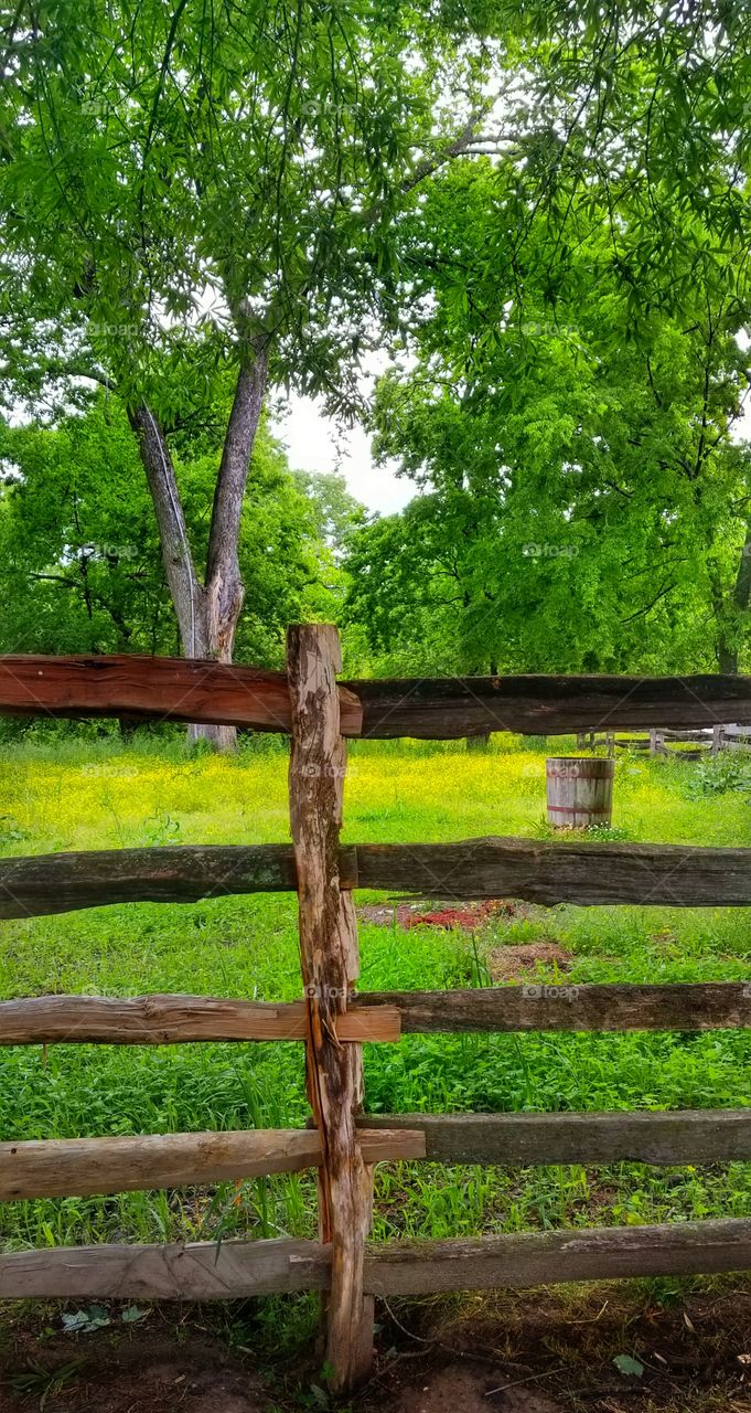 spring in williamsburg