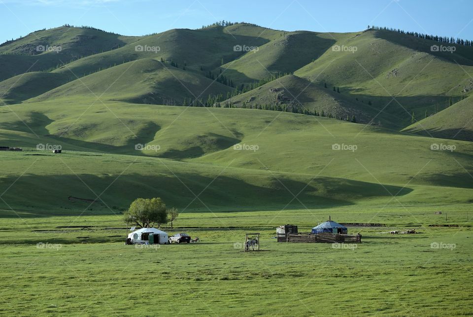 Mongolia: The Ocean Of The Green