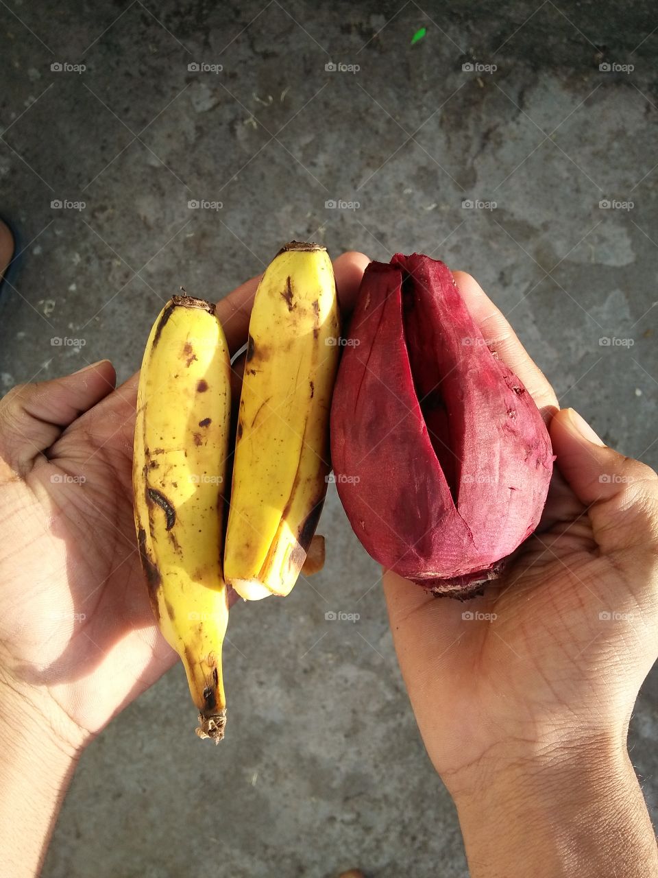 High angle view of banana and beet on hand