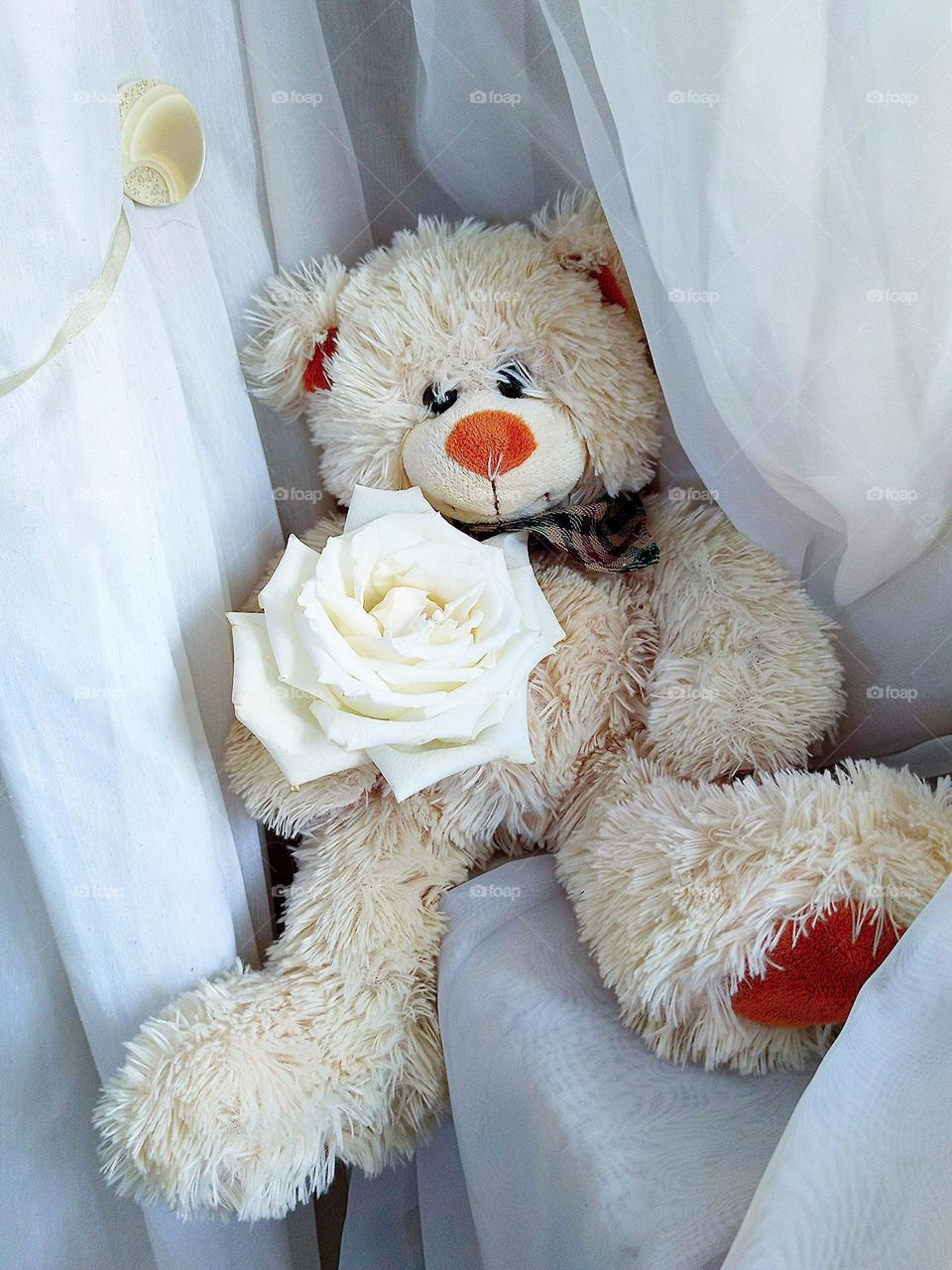 White colour. A white teddy bear sits on a window sill among white tulle, its leg hanging from the window sill. White rose in the paws of a teddy bear