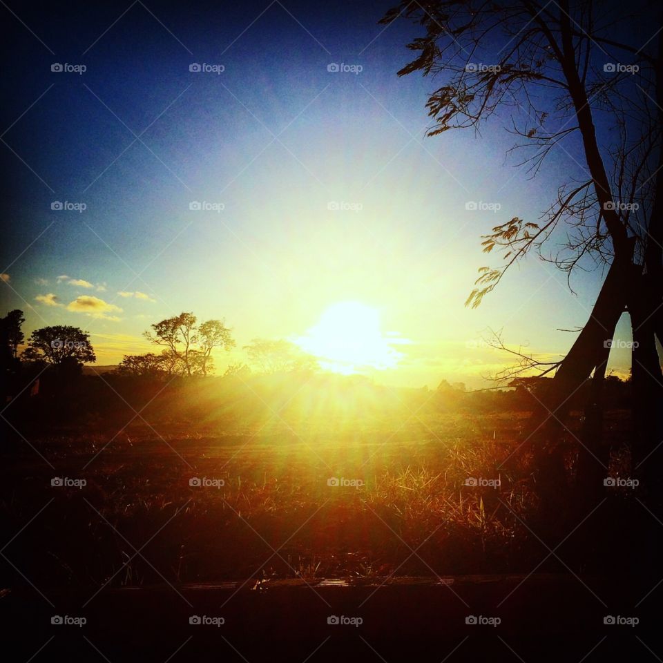 ☀️#Sol muito bonito, com esta #natureza de #beleza indescritível.
Obrigado, #MãeTerra.
🌱
#inspiração #amanhecer #morning #fotografia #paisagem #sun #céu #landscapes 