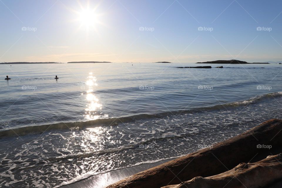 Silhouettes of people swimming into the ocean where hundreds little suns sparkle