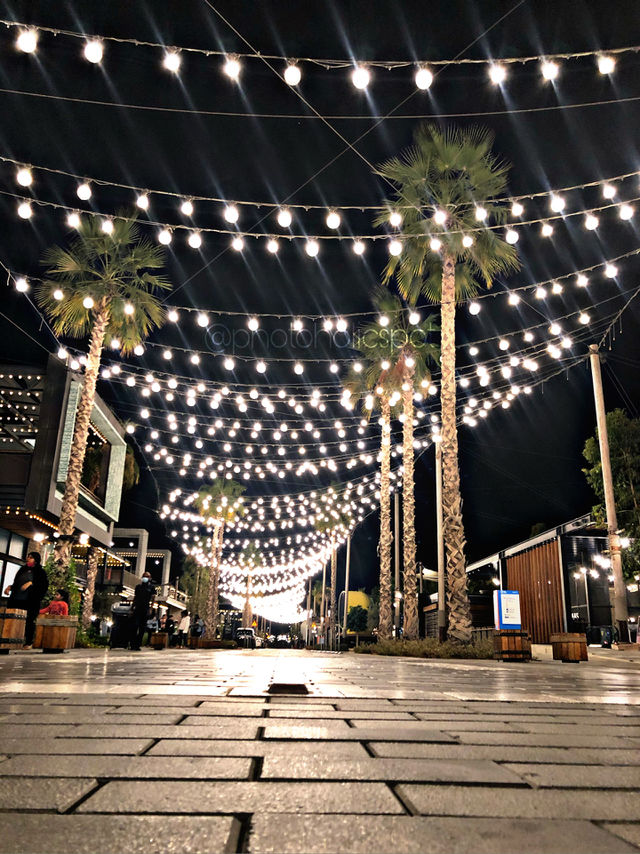 City lights of Dubai at La Mer