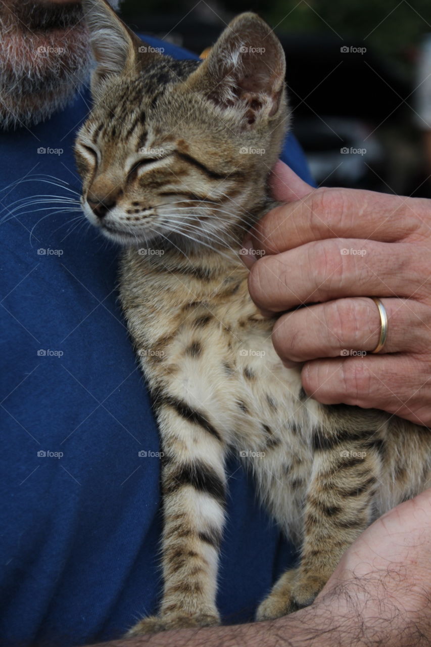 Baby cat from streets get love from a stranger