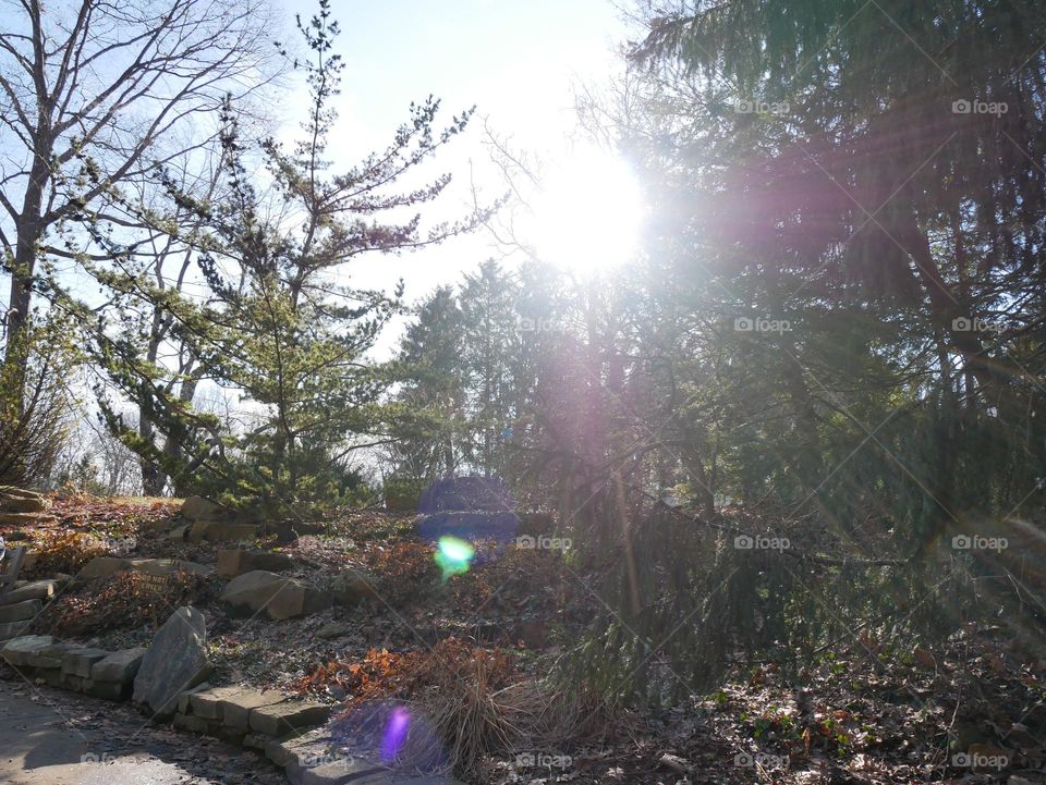 A Monday morning walk at a city park. It’s a mild day, and Spring has yet to make an appearance. But we can pretend! 