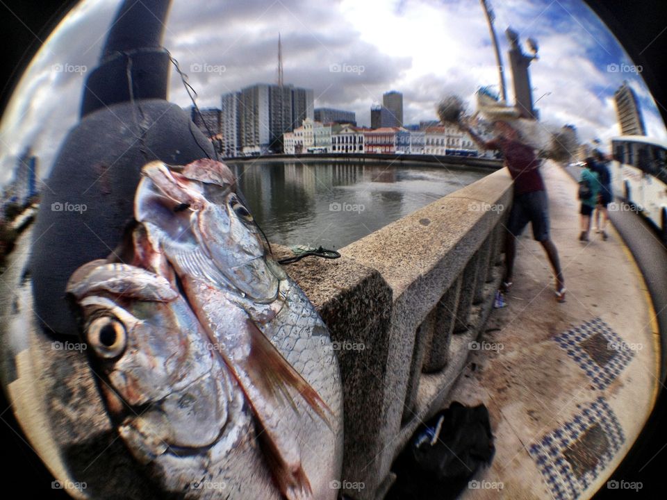 Fish, People, Seafood, Market, Sea