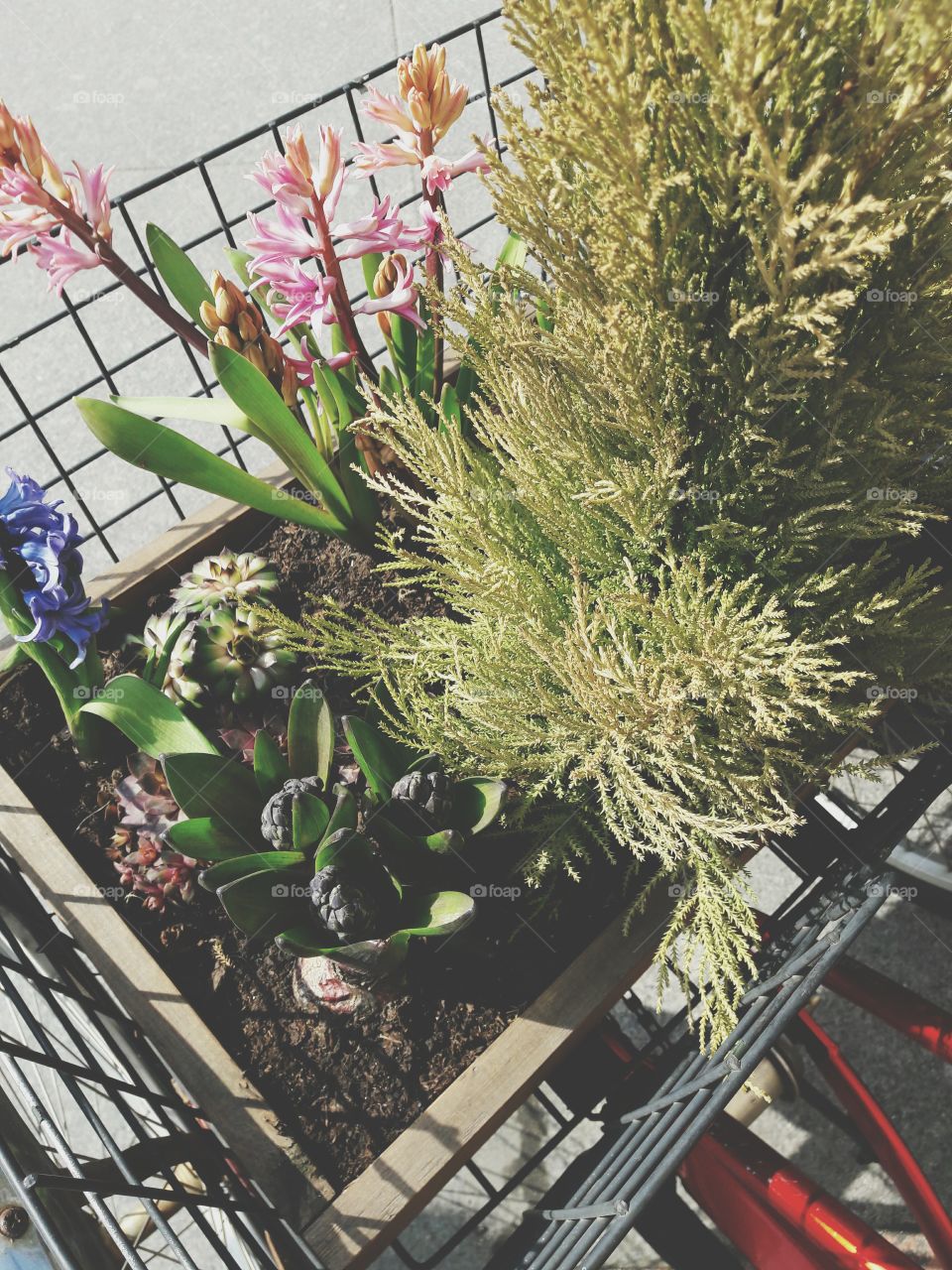 door   day   Architecture   built structure   window   no people   Place of worship   building exterior