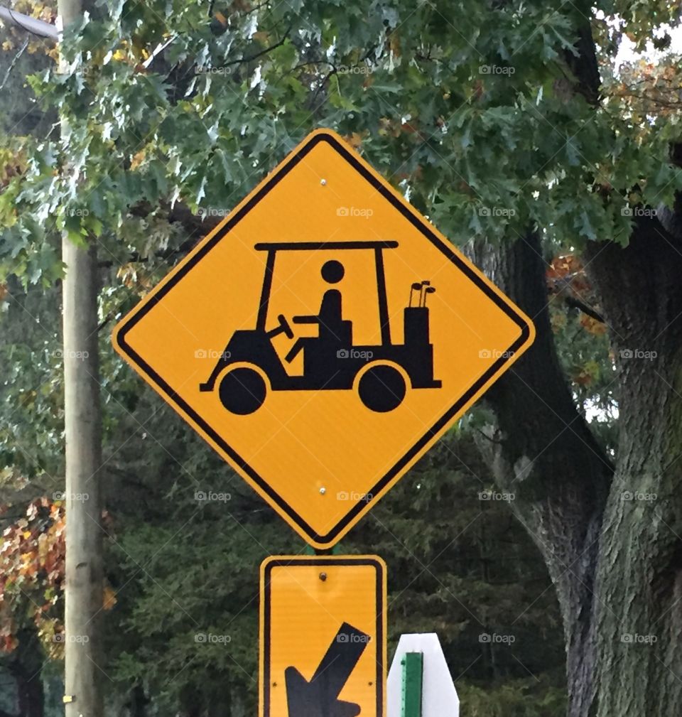 Golf cart crossing