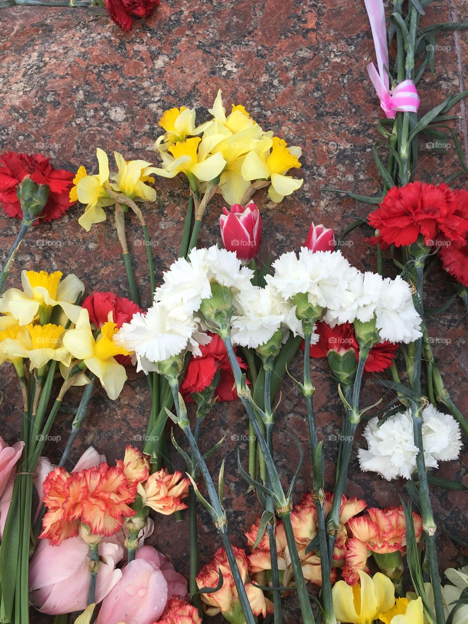 Spring flowers on the marble slab. The anniversary of the liberation of Odessa. April 10, 2019. 