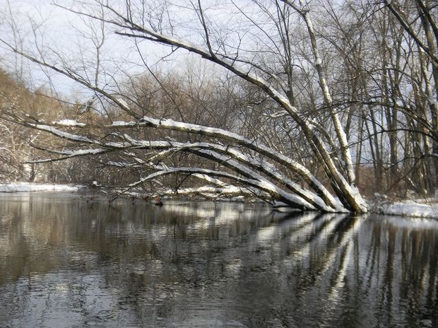 River