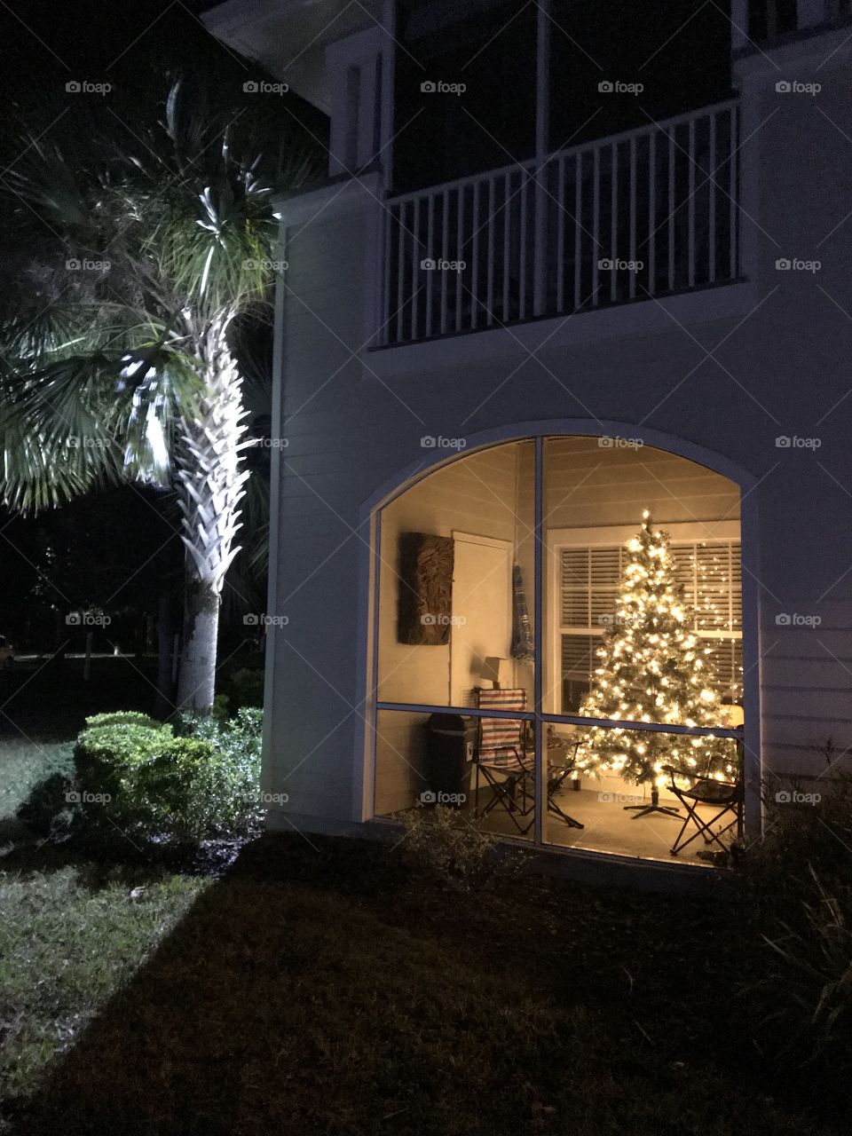 Christmas in Florida 